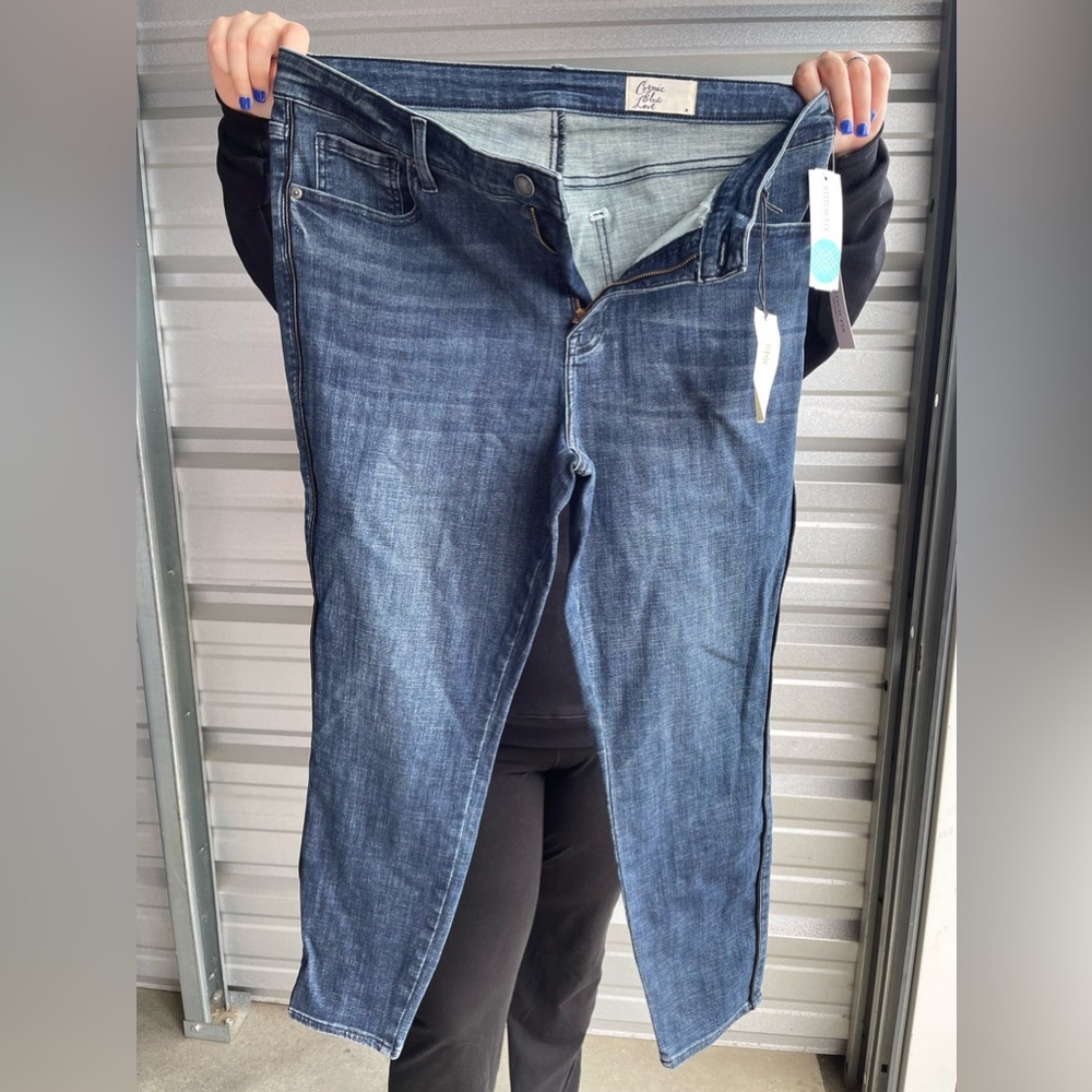 Cosmic blue love jeans NWT stitch fix 16w